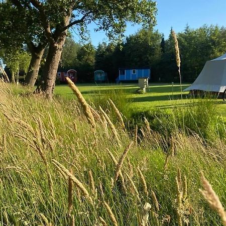 Pipowagens Bij Pannenkoekenrestaurant & Camping De Koppenjan 'Een Uniek Verblijf Met Kinderspeelboerderij' Jubbega-Schurega Ngoại thất bức ảnh