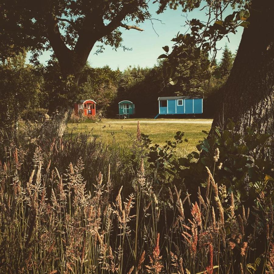 Pipowagens Bij Pannenkoekenrestaurant & Camping De Koppenjan 'Een Uniek Verblijf Met Kinderspeelboerderij' Jubbega-Schurega Ngoại thất bức ảnh