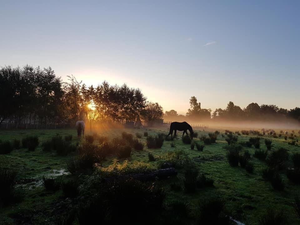 Pipowagens Bij Pannenkoekenrestaurant & Camping De Koppenjan 'Een Uniek Verblijf Met Kinderspeelboerderij' Jubbega-Schurega Ngoại thất bức ảnh