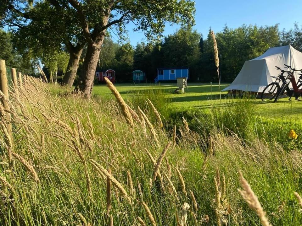 Pipowagens Bij Pannenkoekenrestaurant & Camping De Koppenjan 'Een Uniek Verblijf Met Kinderspeelboerderij' Jubbega-Schurega Ngoại thất bức ảnh